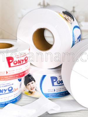 GIẤY VỆ SINH