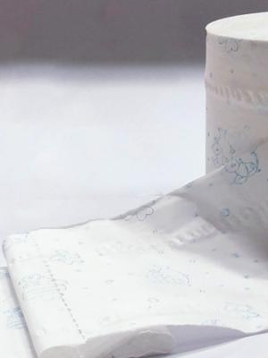 GIẤY PONYO IN 6 CUỘN/LỐC - 10 LỐC/1 CÂY